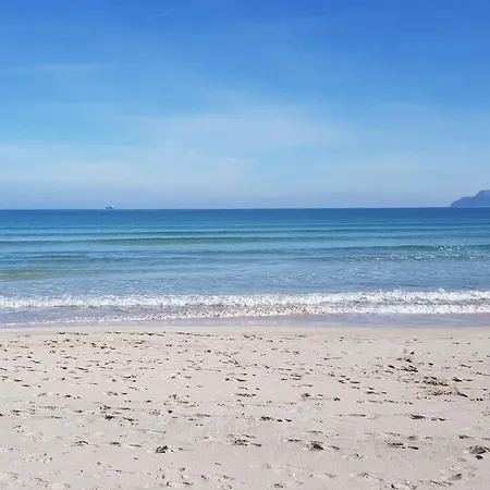 Ideal Mallorca - Mas I Reus 10 * Alcudia (Mallorca)